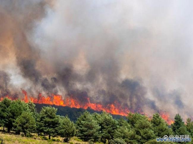 西班牙多地山火持续蔓延 高温天气加大灭火难度