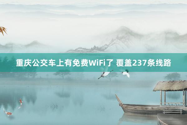 重庆公交车上有免费WiFi了 覆盖237条线路