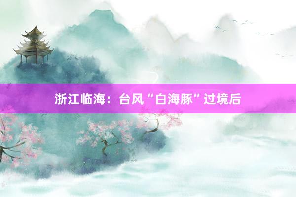 浙江临海：台风“白海豚”过境后