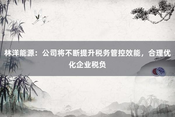 林洋能源：公司将不断提升税务管控效能，合理优化企业税负