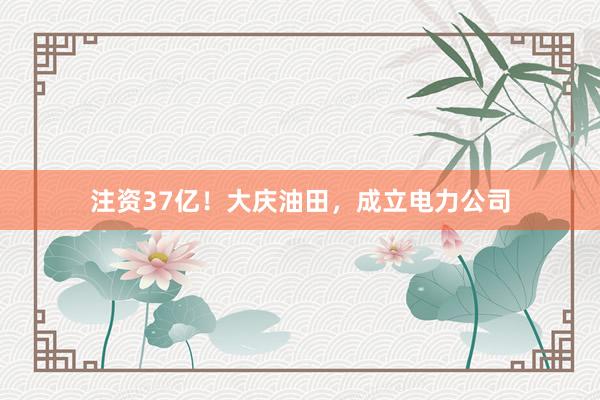 注资37亿！大庆油田，成立电力公司