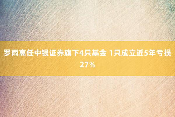 罗雨离任中银证券旗下4只基金 1只成立近5年亏损27%