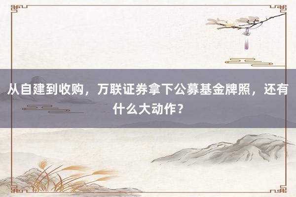 从自建到收购，万联证券拿下公募基金牌照，还有什么大动作？