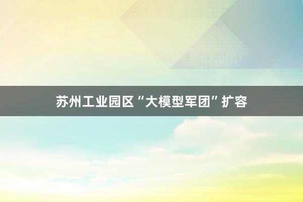苏州工业园区“大模型军团”扩容