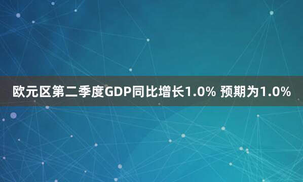 欧元区第二季度GDP同比增长1.0% 预期为1.0%