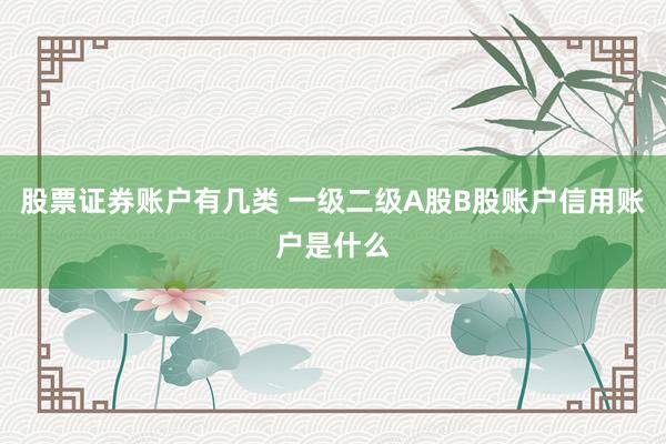 股票证券账户有几类 一级二级A股B股账户信用账户是什么