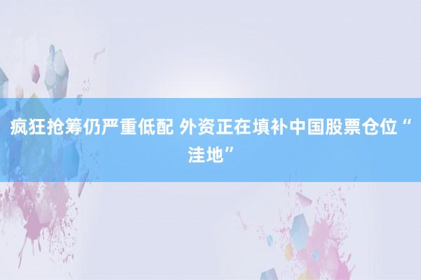 疯狂抢筹仍严重低配 外资正在填补中国股票仓位“洼地”