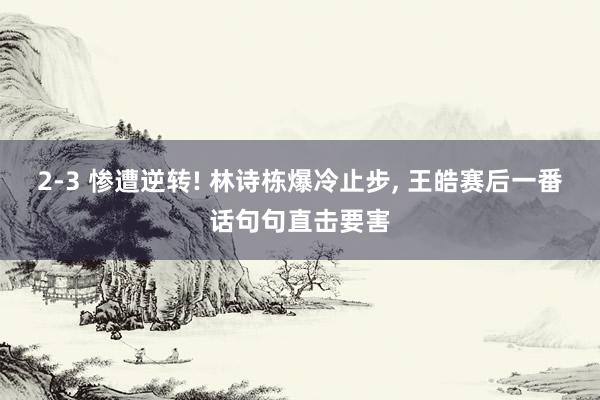 2‑3 惨遭逆转! 林诗栋爆冷止步, 王皓赛后一番话句句直击要害