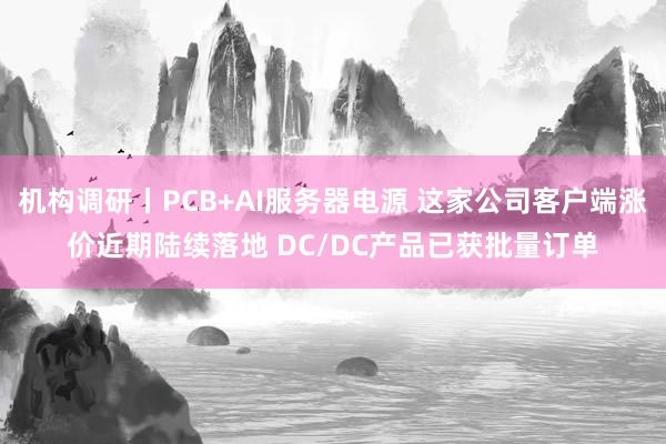 机构调研丨PCB+AI服务器电源 这家公司客户端涨价近期陆续落地 DC/DC产品已获批量订单