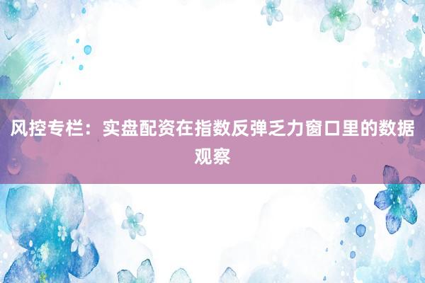 风控专栏：实盘配资在指数反弹乏力窗口里的数据观察