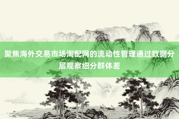 聚焦海外交易市场淘配网的流动性管理通过数据分层观察细分群体差