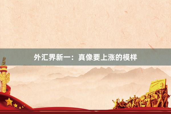 外汇界新一：真像要上涨的模样