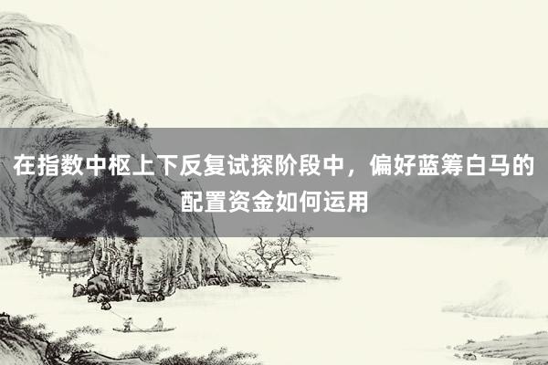 在指数中枢上下反复试探阶段中，偏好蓝筹白马的配置资金如何运用