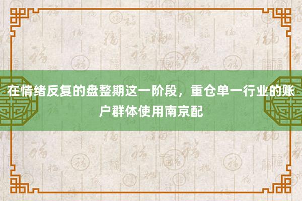 在情绪反复的盘整期这一阶段，重仓单一行业的账户群体使用南京配