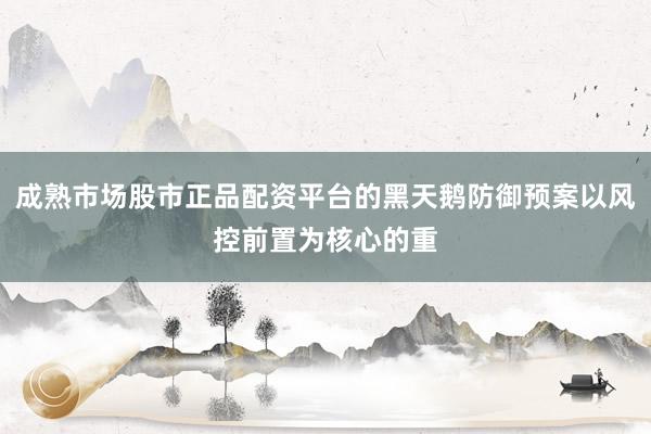 成熟市场股市正品配资平台的黑天鹅防御预案以风控前置为核心的重