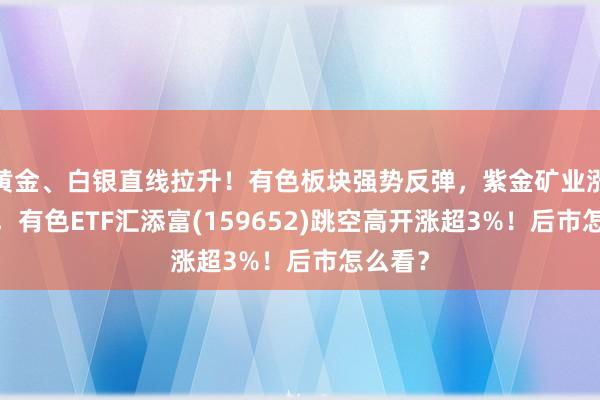 黄金、白银直线拉升！有色板块强势反弹，紫金矿业涨近5%，有色ETF汇添富(159652)跳空高开涨超3%！后市怎么看？