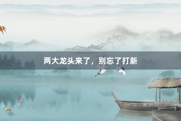 两大龙头来了，别忘了打新