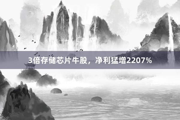 3倍存储芯片牛股，净利猛增2207%