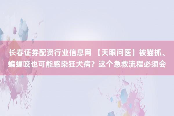 长春证券配资行业信息网 【天眼问医】被猫抓、蝙蝠咬也可能感染狂犬病？这个急救流程必须会