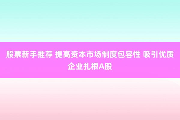 股票新手推荐 提高资本市场制度包容性 吸引优质企业扎根A股