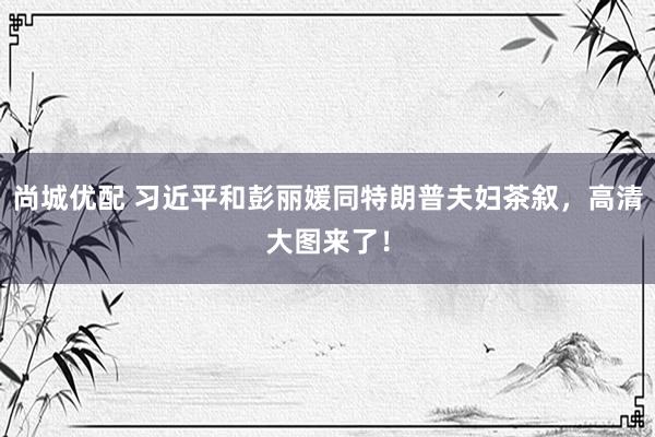 尚城优配 习近平和彭丽媛同特朗普夫妇茶叙，高清大图来了！