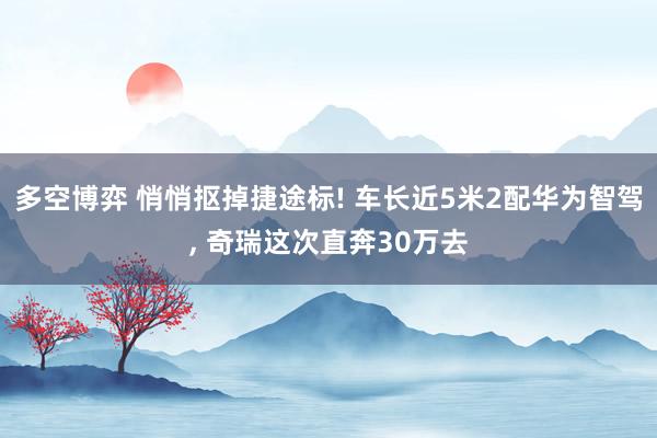 多空博弈 悄悄抠掉捷途标! 车长近5米2配华为智驾, 奇瑞这次直奔30万去