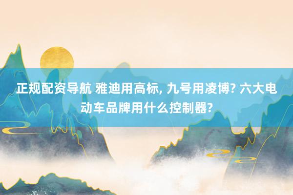 正规配资导航 雅迪用高标, 九号用凌博? 六大电动车品牌用什么控制器?
