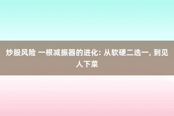 炒股风险 一根减振器的进化: 从软硬二选一, 到见人下菜