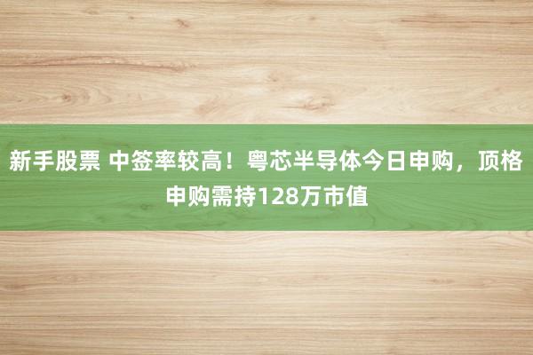 新手股票 中签率较高！粤芯半导体今日申购，顶格申购需持128万市值